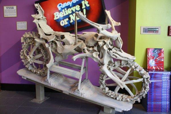 动物骨头制作的摩托车创意设计