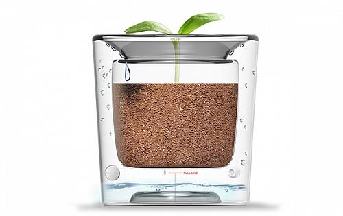 水回收花盆创意设计，有效减少浇水次数