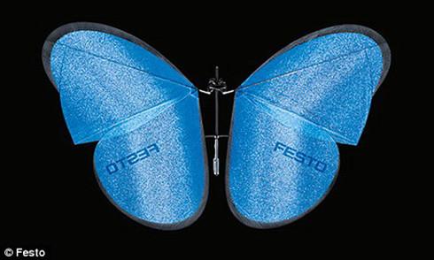 Festo公司的机械蝴蝶创意设计