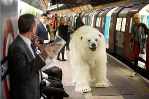 伦敦地铁站出现2.4米北极熊创意设计