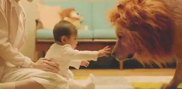 日本亚马逊超感人广告创意设计《狗狗扮狮子》