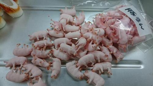 日本现“真猪”料理创意，食客称无法吃下去