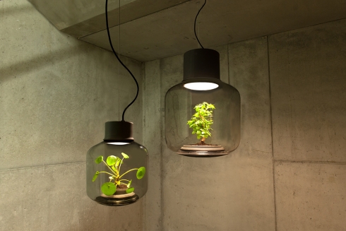 玻璃瓶灯具里的自循环生态创意设计